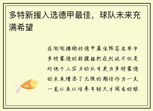 多特新援入选德甲最佳，球队未来充满希望
